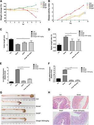 Ginger Alleviates DSS-Induced Ulcerative Colitis Severity by Improving the Diversity and Function of Gut Microbiota